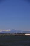 22730289_254757548381587_5446351249708315144_n本多光明 ― 里海うらやす★公式.jpg