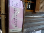 P1080006 (800x599).jpg