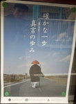 P1080029 (596x800).jpg