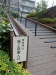 P1080046 (600x800).jpg