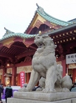 P1080096 (594x800).jpg