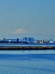 P2030016 (402x537).jpg