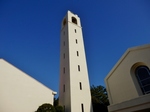 P2030116 (800x600).jpg