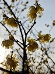 P2100167 (600x800).jpg