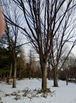 P2100192 (600x800).jpg