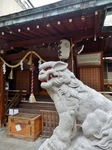 P2270005 (600x800).jpg