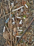 P3010010 (600x800).jpg