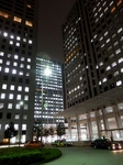 P3140002 (600x800).jpg