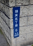 P3150120 (571x800).jpg
