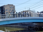 P3150123 (800x590).jpg