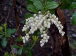 P3270032 (800x600).jpg