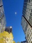 P3270071 (600x800).jpg