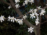 P3290083 (800x600).jpg