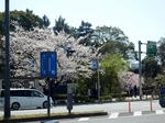 P3310005 (800x600).jpg