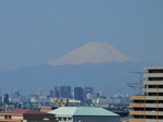 P3310045 (854x641).jpg