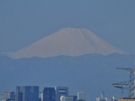 P3310046 (854x641).jpg