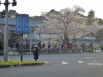 P3310051 (800x600).jpg