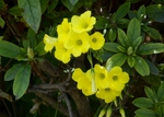 P4010032 (800x573).jpg