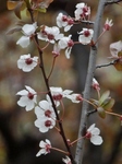 P4030311 (600x800).jpg