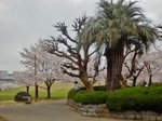 P4030348 (800x600).jpg