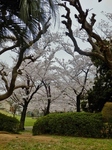 P4030351 (600x800).jpg
