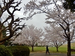 P4030353 (800x600).jpg