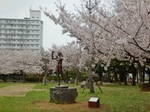 P4030370 (800x600).jpg