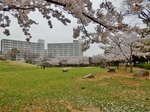 P4030374 (800x600).jpg