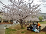 P4030379 (800x600).jpg