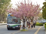 P4170012 (800x600).jpg