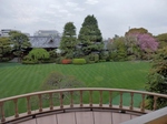 P4180057 (800x600).jpg
