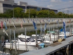 P4300507 (800x598).jpg