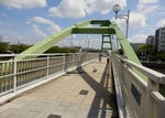 P4300564 (800x571).jpg