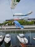 P5010041 (600x800).jpg