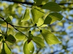 P5010078 (800x600).jpg