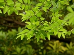 P5030023 (800x600).jpg