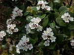 P5080011 (800x600).jpg