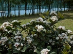 P5080012 (800x600).jpg