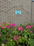 P5080020 (600x800).jpg