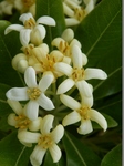 P5080212 (800x600).jpg