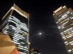 P5080306 (800x600).jpg