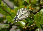 P5100014 (800x587).jpg
