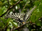 P5100016 (800x591).jpg