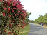 P5230037 (800x600).jpg