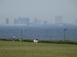 P5230044 (800x600).jpg