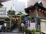 P5230135 (800x600).jpg