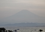 P5240185 (800x577).jpg