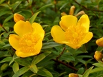 P6020004_01 (800x600).jpg