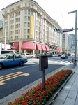 P6130045 (600x800).jpg