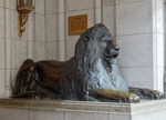 P6130066 (800x577).jpg